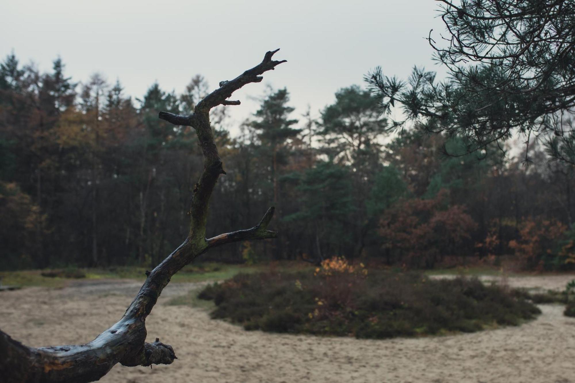 Drents Genieten - Kraaiheide Erm Exterior foto